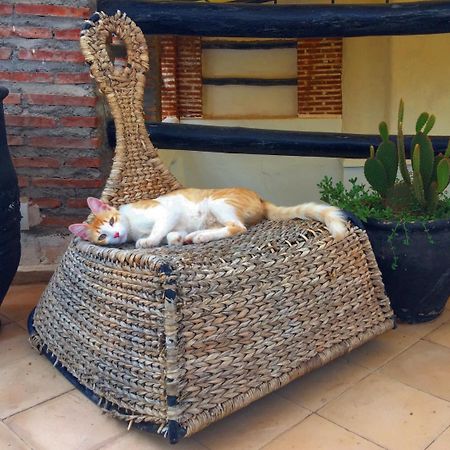 Riad Nejma Lounge Μαρακές Εξωτερικό φωτογραφία