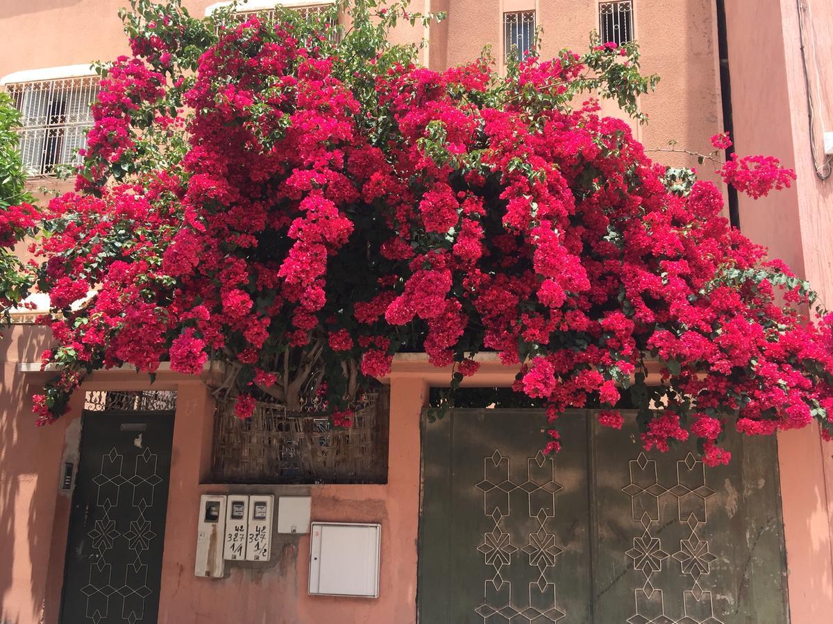 Riad Nejma Lounge Μαρακές Εξωτερικό φωτογραφία